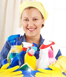 domestic_cleaner