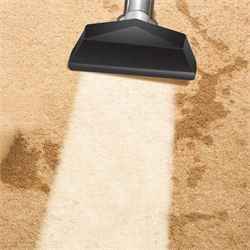 Carpet Clean London